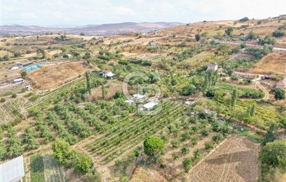 CB KİNG'DEN KARESİ ZİYARETLİ'DE VERİMLİ KÖY İÇİ SATILIK BAHÇE
