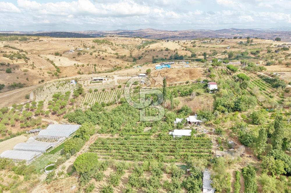 CB KİNG'DEN KARESİ ZİYARETLİ'DE VERİMLİ KÖY İÇİ SATILIK BAHÇE