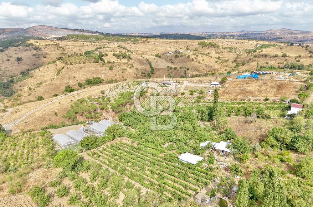 CB KİNG'DEN KARESİ ZİYARETLİ'DE VERİMLİ KÖY İÇİ SATILIK BAHÇE