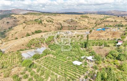 CB KİNG'DEN KARESİ ZİYARETLİ'DE VERİMLİ KÖY İÇİ SATILIK BAHÇE