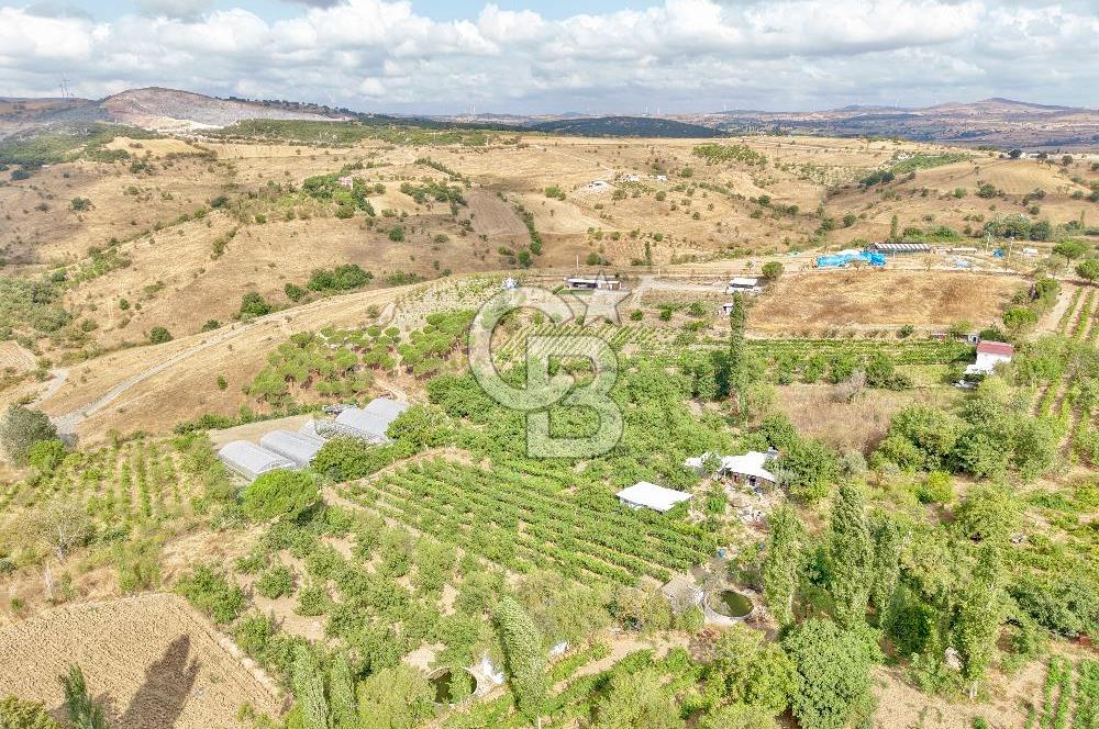 CB KİNG'DEN KARESİ ZİYARETLİ'DE VERİMLİ KÖY İÇİ SATILIK BAHÇE