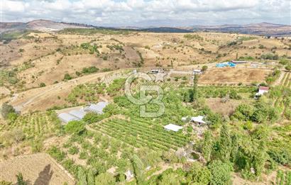 CB KİNG'DEN KARESİ ZİYARETLİ'DE VERİMLİ KÖY İÇİ SATILIK BAHÇE