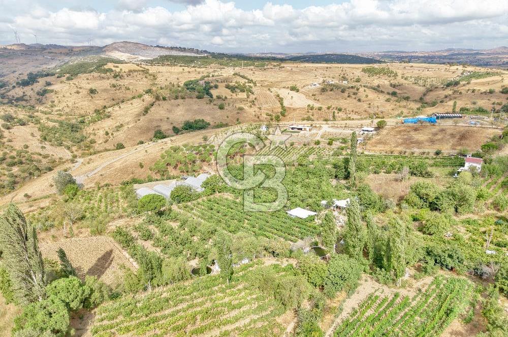 CB KİNG'DEN KARESİ ZİYARETLİ'DE VERİMLİ KÖY İÇİ SATILIK BAHÇE