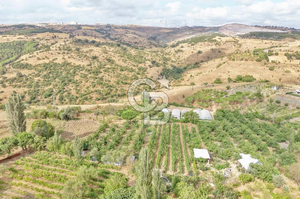 CB KİNG'DEN KARESİ ZİYARETLİ'DE VERİMLİ KÖY İÇİ SATILIK BAHÇE