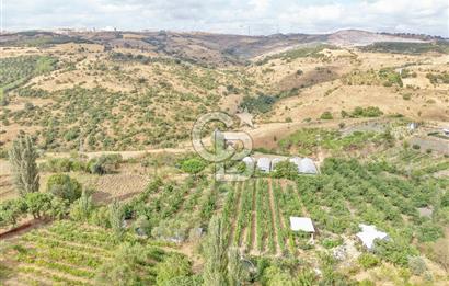 CB KİNG'DEN KARESİ ZİYARETLİ'DE VERİMLİ KÖY İÇİ SATILIK BAHÇE