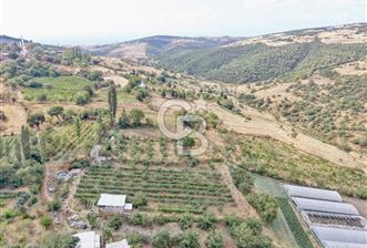 CB KİNG'DEN KARESİ ZİYARETLİ'DE VERİMLİ KÖY İÇİ SATILIK BAHÇE - 5 - 367499