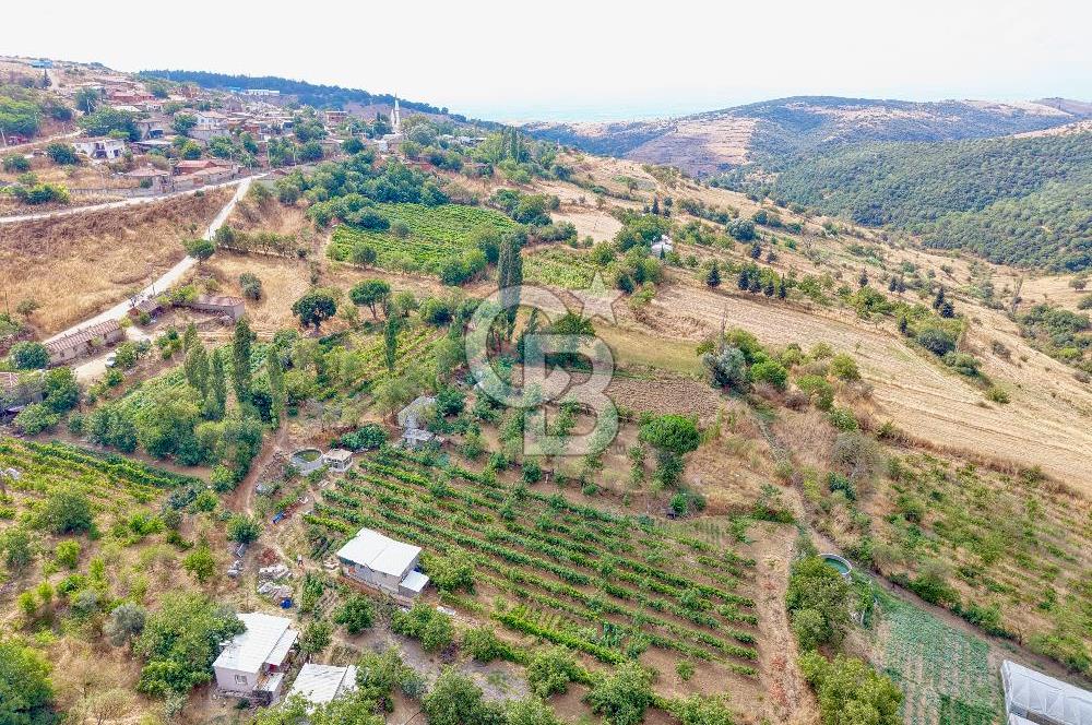 CB KİNG'DEN KARESİ ZİYARETLİ'DE VERİMLİ KÖY İÇİ SATILIK BAHÇE