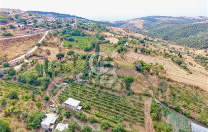 CB KİNG'DEN KARESİ ZİYARETLİ'DE VERİMLİ KÖY İÇİ SATILIK BAHÇE
