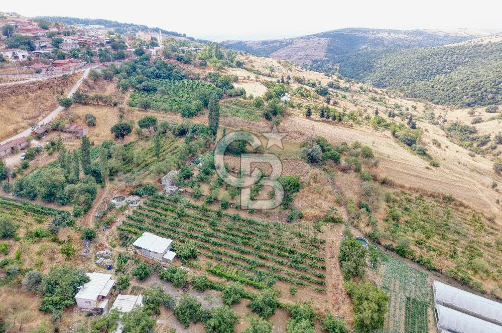 CB KİNG'DEN KARESİ ZİYARETLİ'DE VERİMLİ KÖY İÇİ SATILIK BAHÇE