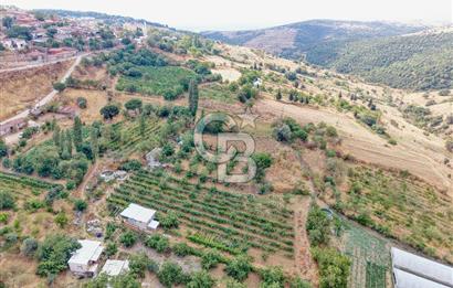 CB KİNG'DEN KARESİ ZİYARETLİ'DE VERİMLİ KÖY İÇİ SATILIK BAHÇE