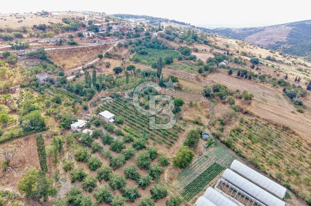 CB KİNG'DEN KARESİ ZİYARETLİ'DE VERİMLİ KÖY İÇİ SATILIK BAHÇE