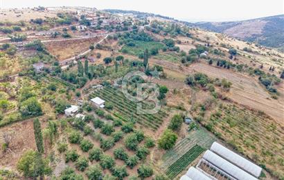CB KİNG'DEN KARESİ ZİYARETLİ'DE VERİMLİ KÖY İÇİ SATILIK BAHÇE
