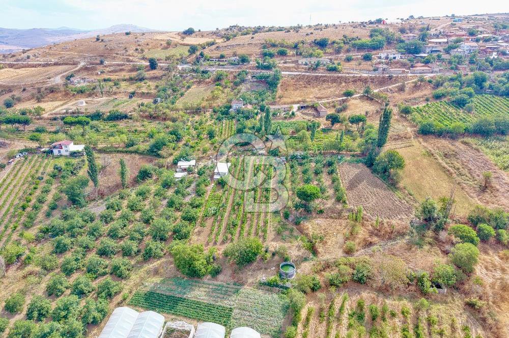 CB KİNG'DEN KARESİ ZİYARETLİ'DE VERİMLİ KÖY İÇİ SATILIK BAHÇE
