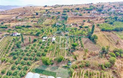 CB KİNG'DEN KARESİ ZİYARETLİ'DE VERİMLİ KÖY İÇİ SATILIK BAHÇE