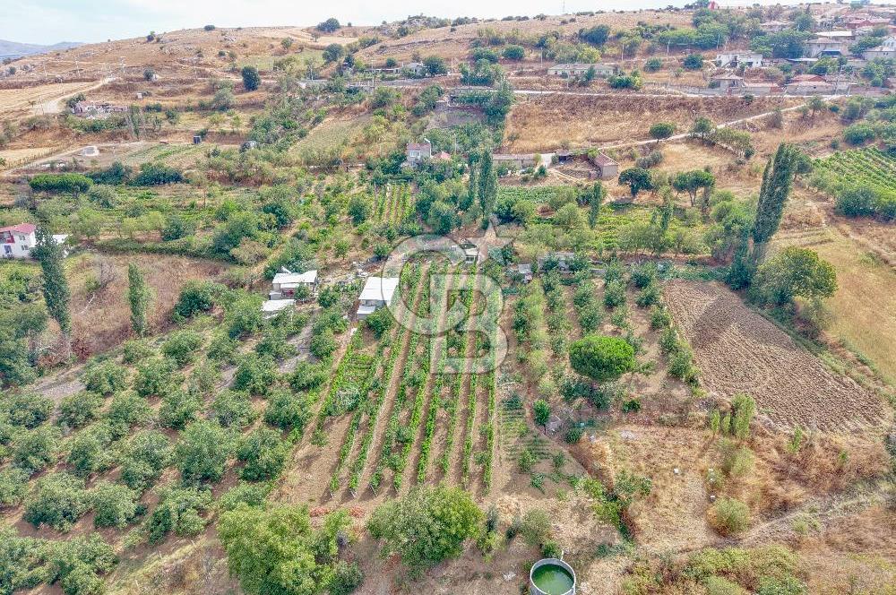 CB KİNG'DEN KARESİ ZİYARETLİ'DE VERİMLİ KÖY İÇİ SATILIK BAHÇE