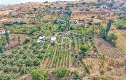 CB KİNG'DEN KARESİ ZİYARETLİ'DE VERİMLİ KÖY İÇİ SATILIK BAHÇE
