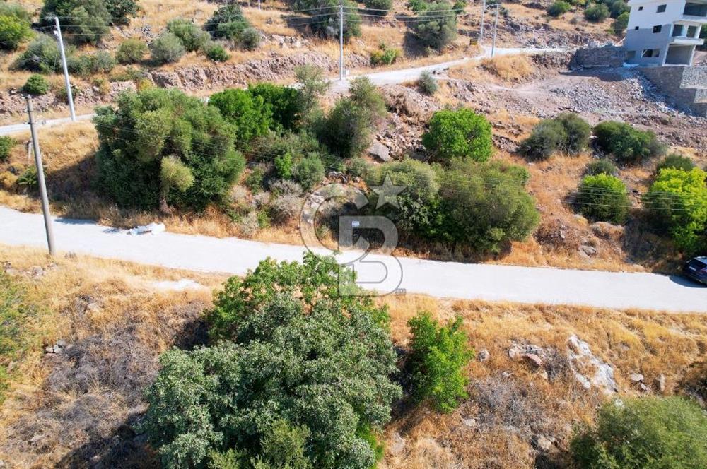 ÇANDARLI EYKO AKVARYUM KOYU HİZASINDA 319 M2 İMARLI ARSA
