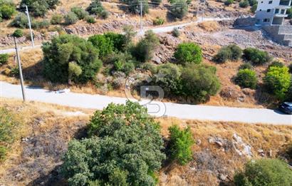 ÇANDARLI EYKO AKVARYUM KOYU HİZASINDA 319 M2 İMARLI ARSA