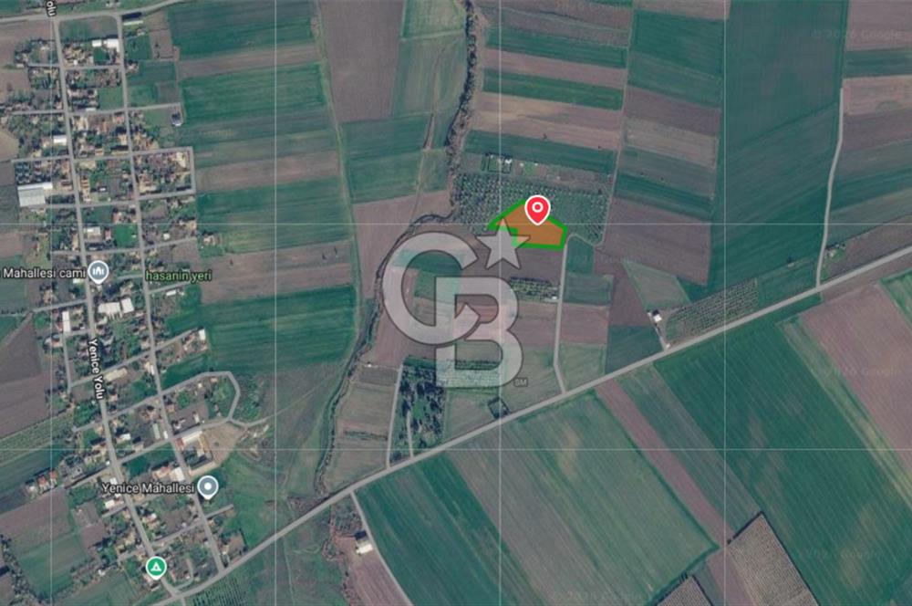 Çorlu Yenice Mahallesinde 4.075 M² Satılık Fırsat Tarla!