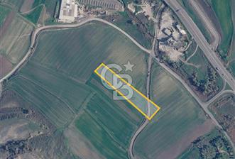 Çorlu Hatip Mahallesinde 6127 M2 Satılık Fırsat Tarla - 3 - 367521