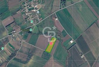 Çorlu Yenice Mahallesinde 10.888 M² Satılık Tarla! - 5 - 367510