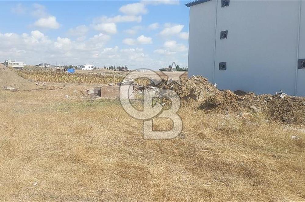 Tekirdağ Ergene Marmaracık'ta Satılık 450 M2 Konut Arsası