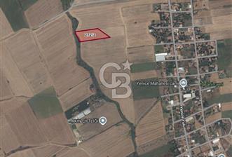 Çorlu Yenice Mahallesinde 4.829 M² Satılık Yatırım Fırsatı! - 7 - 367507