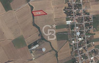 Çorlu Yenice Mahallesinde 4.829 M² Satılık Yatırım Fırsatı!
