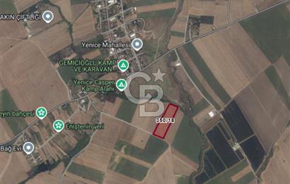 Çorlu Yenice Mahallesinde 10.888 M² Satılık Tarla!