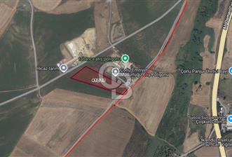 Tekirdağ Çorlu Hatip Mah.nde 10.116 M² Satılık Fırsat Tarla - 4 - 367520