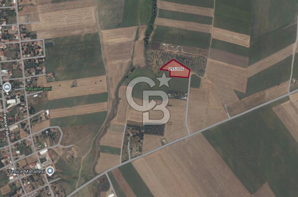 Çorlu Yenice Mahallesinde 4.075 M² Satılık Fırsat Tarla!