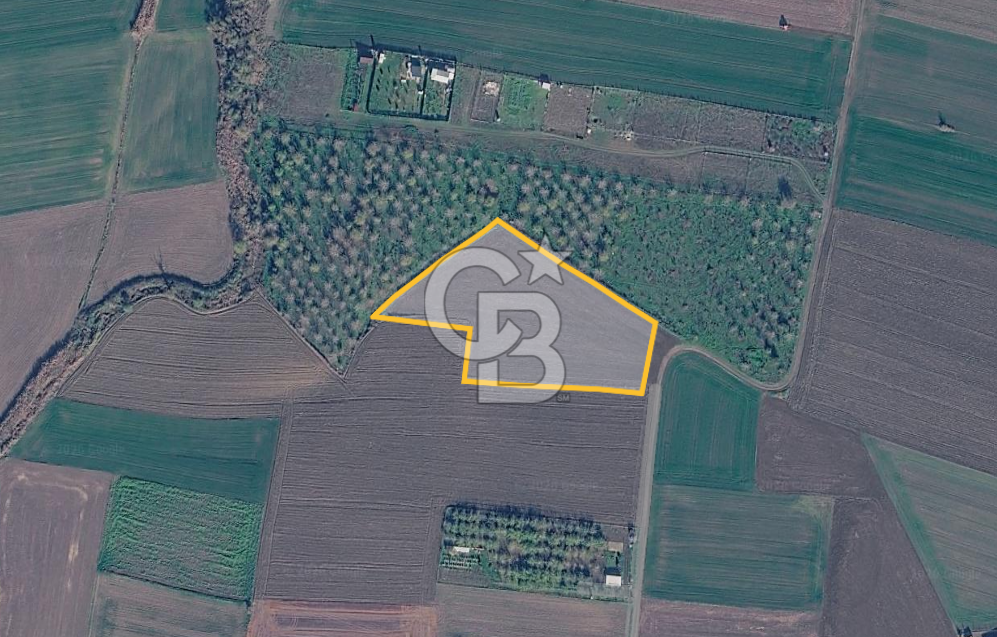 Çorlu Yenice Mahallesinde 4.075 M² Satılık Fırsat Tarla!
