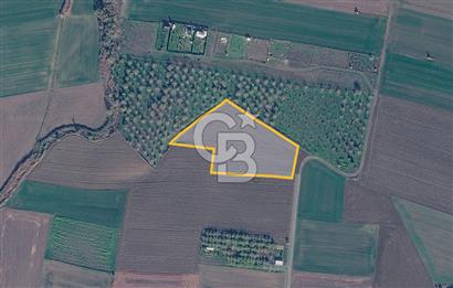 Çorlu Yenice Mahallesinde 4.075 M² Satılık Fırsat Tarla!