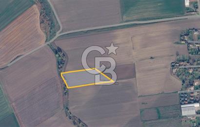 Çorlu Yenice Mahallesinde 4.829 M² Satılık Yatırım Fırsatı!