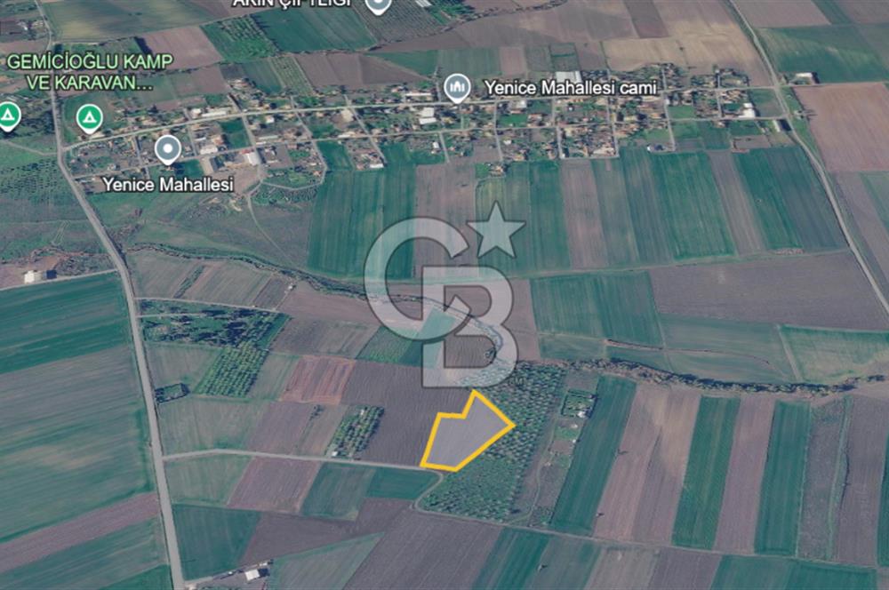 Çorlu Yenice Mahallesinde 4.075 M² Satılık Fırsat Tarla!