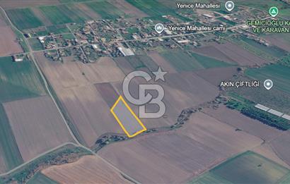 Çorlu Yenice Mahallesinde 4.829 M² Satılık Yatırım Fırsatı!