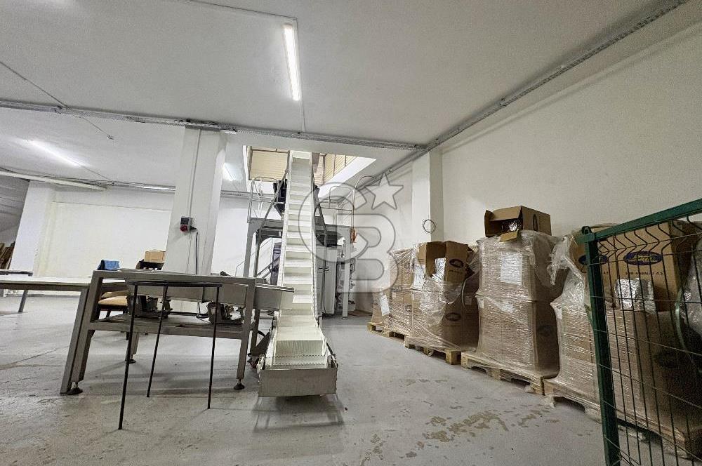 Ataşehir Ferhatpaşada 1.715 m² Müstakil Komple Bina Depo+Ofis