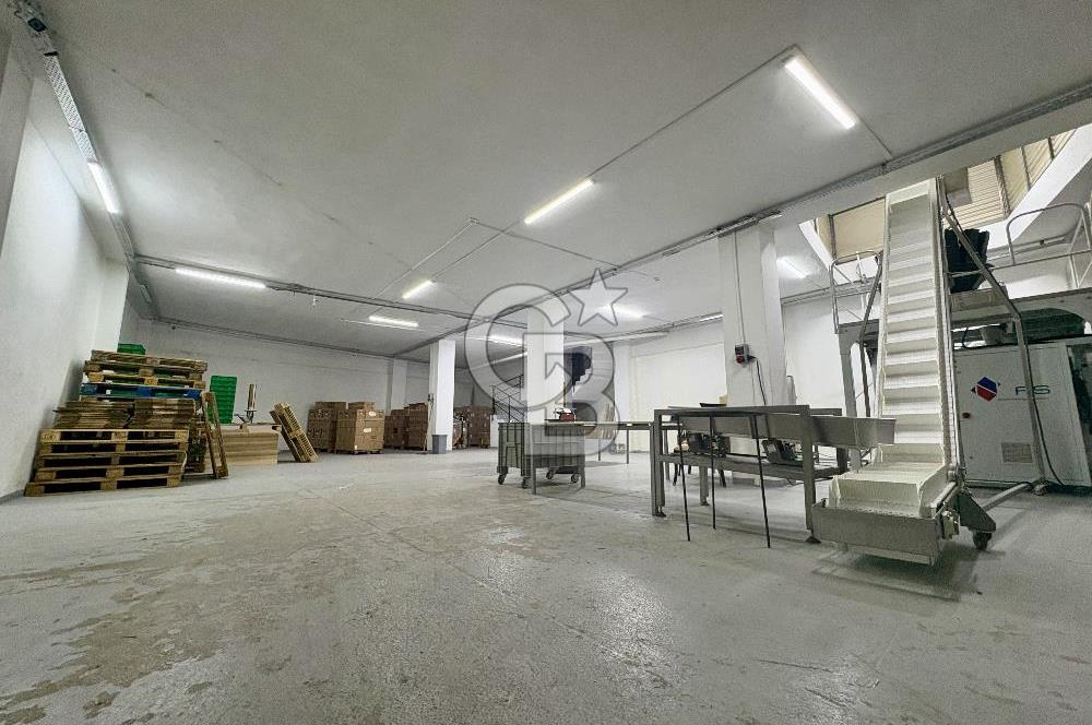 Ataşehir Ferhatpaşada 1.715 m² Müstakil Komple Bina Depo+Ofis
