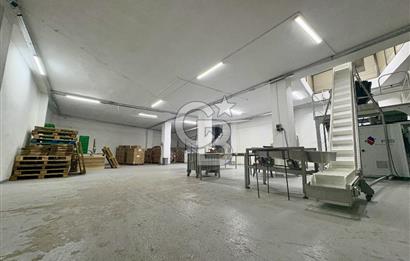 Ataşehir Ferhatpaşada 1.715 m² Müstakil Komple Bina Depo+Ofis