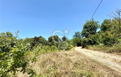 CB ENVOY/YALOVA İLYASKÖY'de ŞEHİRE YAKIN EĞİMSİZ ARSA