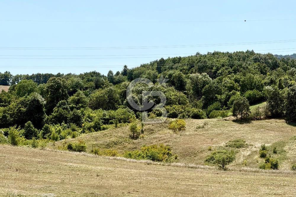 CB ENVOY/YALOVA İLYASKÖY'de ŞEHİRE YAKIN EĞİMSİZ ARSA