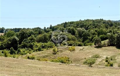 CB ENVOY/YALOVA İLYASKÖY'de ŞEHİRE YAKIN EĞİMSİZ ARSA