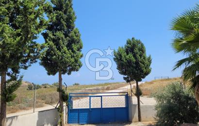 Yumurtalık'ta Deniz Manzaralı, Bahçeli 3+1 Satılık Müstakil Ev
