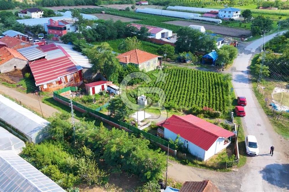 Çarşamba Çaltı'da Deniz ve Havalimanına Yakın Satılık Tarla