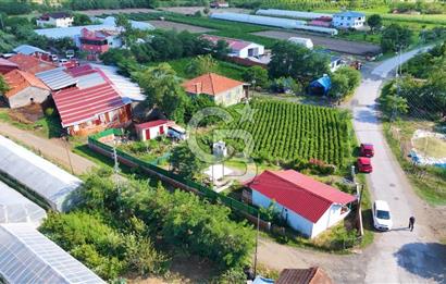 Çarşamba Çaltı'da Deniz ve Havalimanına Yakın Satılık Tarla
