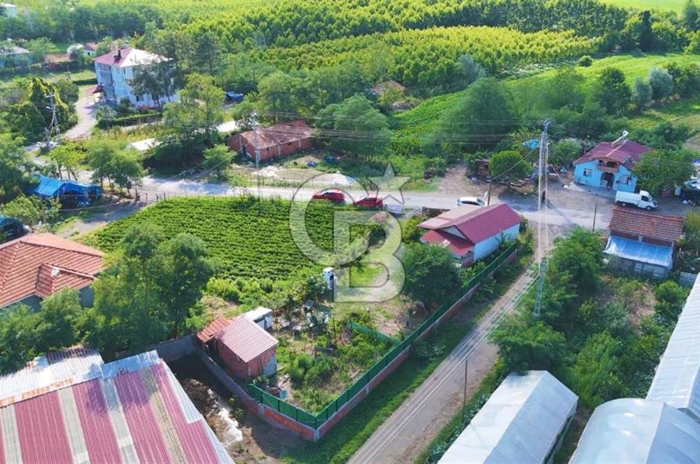 Çarşamba Çaltı'da Deniz ve Havalimanına Yakın Satılık Tarla