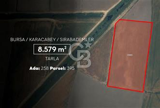 CB AMBIANCE'DAN KARACABEY/SIRABADEMLER'DE 8.579 m² TARLA - 1 - 367524