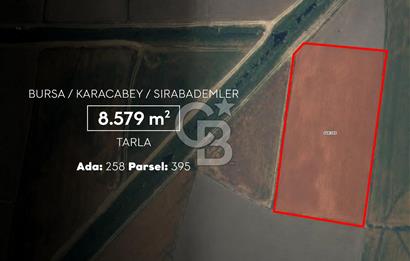 CB AMBIANCE'DAN KARACABEY/SIRABADEMLER'DE 8.579 m² TARLA