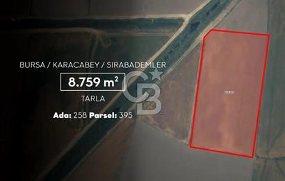 CB AMBIANCE'DAN KARACABEY/SIRABADEMLER'DE 8.579 m² TARLA
