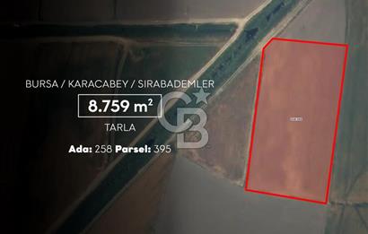 CB AMBIANCE'DAN KARACABEY/SIRABADEMLER'DE 8.579 m² TARLA
